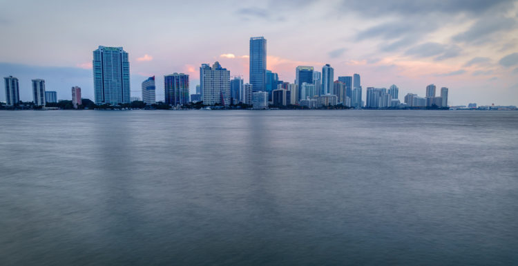 Downtime Miami at Dawn