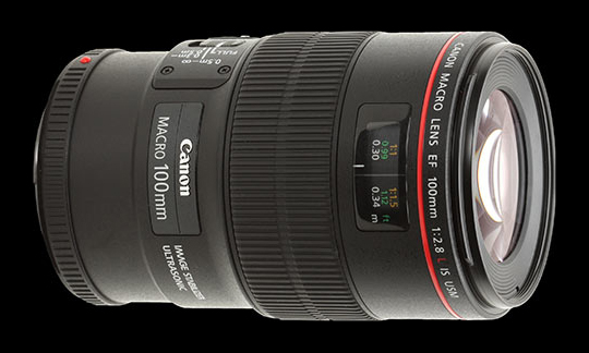 Canon EF 100mm F2.8 L IS USM Macro