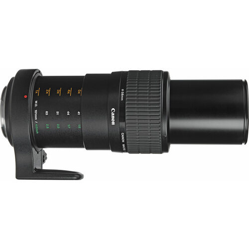 Canon MP E 65mm F2.8 1–5x Macro