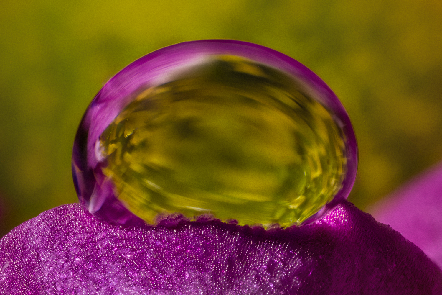 Purple Mum Droplet