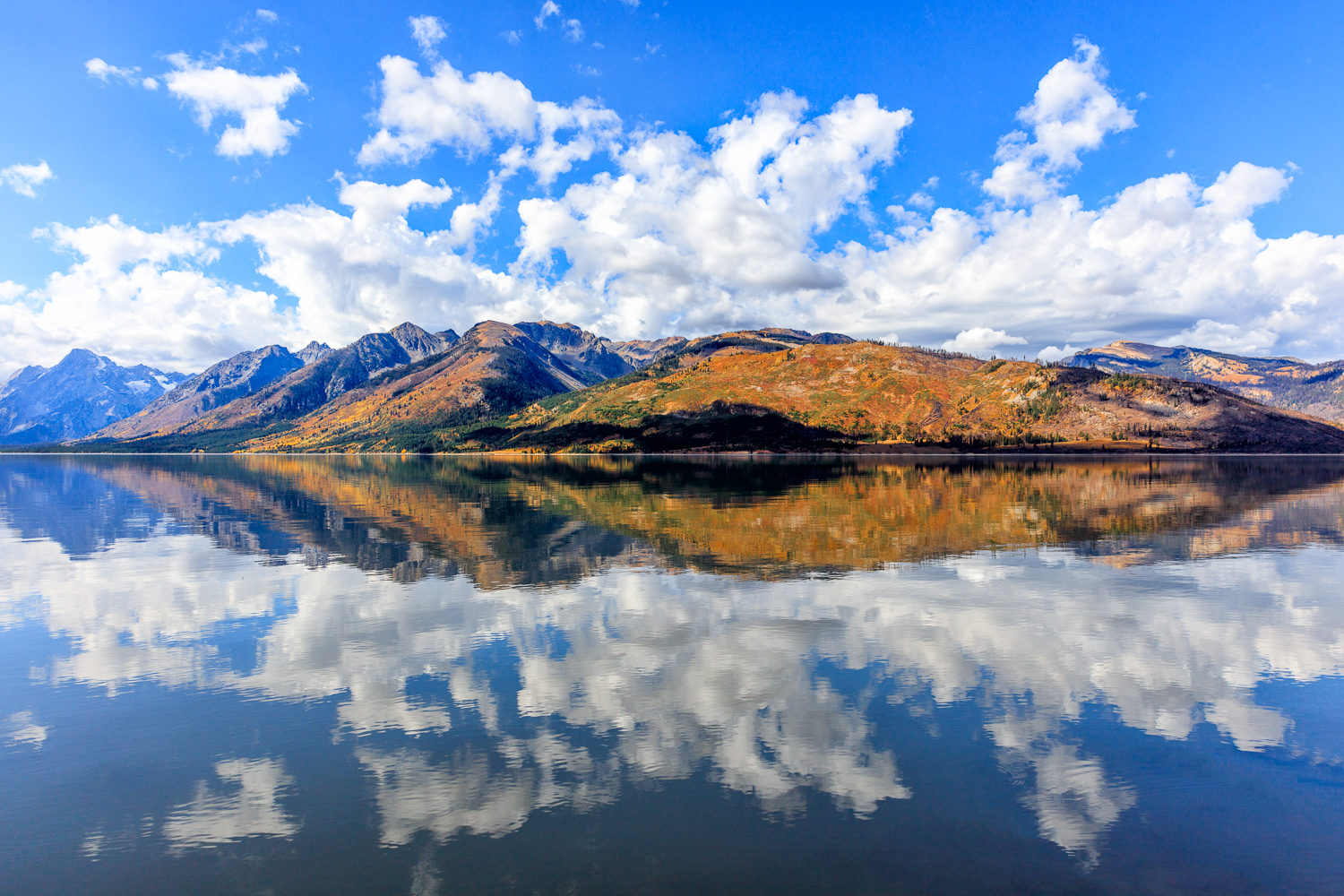 Reflection on Jackson Lake T. Kahler Photography