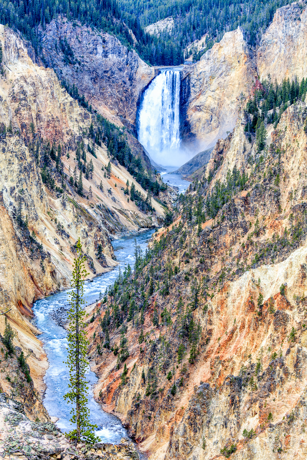 Grand Canyon of the Yellowstone - T. Kahler Photography