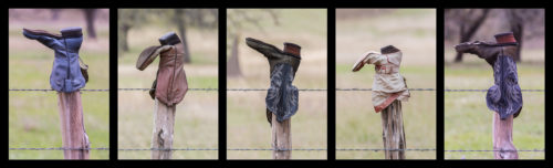 Boots on Fence Posts