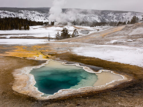 Heart Spring, Upper Geyser  Basin, Yellowstone National Park