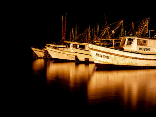 Fishing Boats in Fulton Harbor