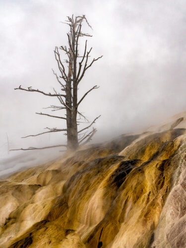 Mammoth Hot Springs, Palette Springs, Snow, Winter, Yellowstone National Park
